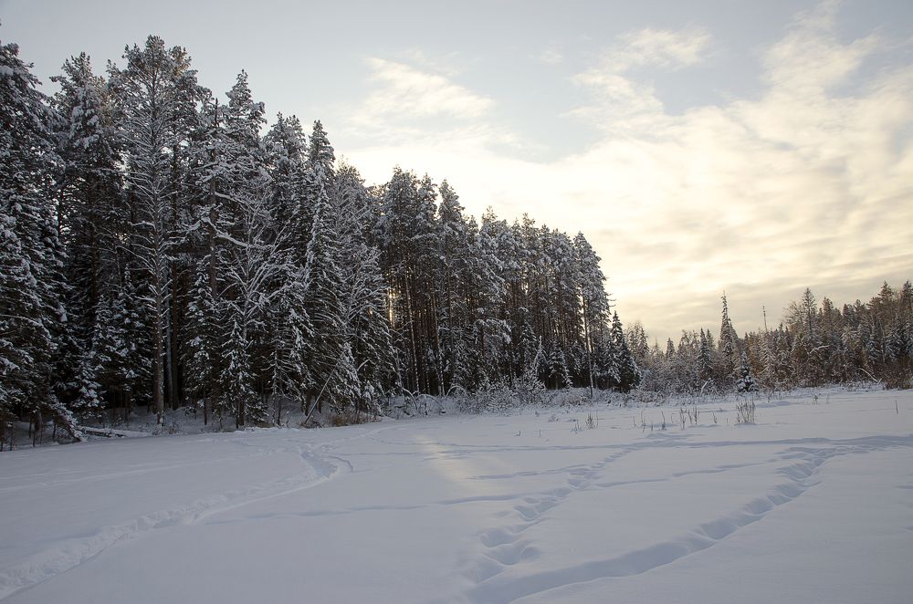 Photograph by Светлана Семенова