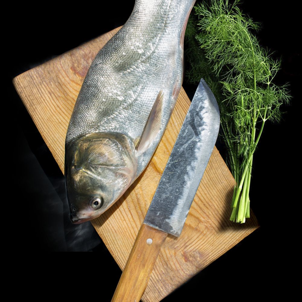 Photograph by Shuhrat Djuraev