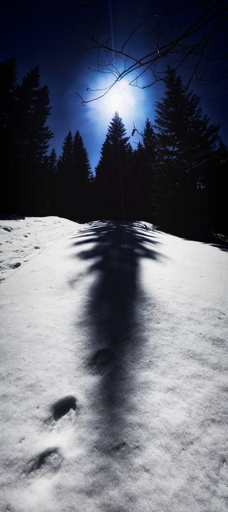 Photograph by Ivanka Iantcheva