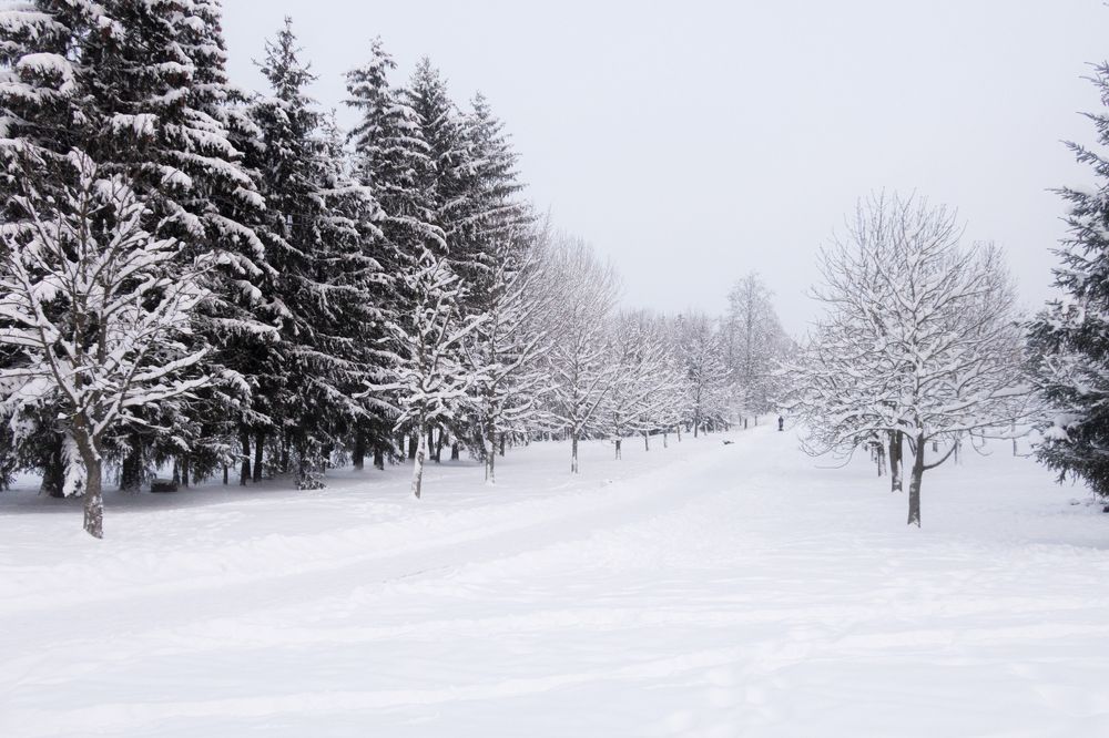 Photograph by Людмила Казак