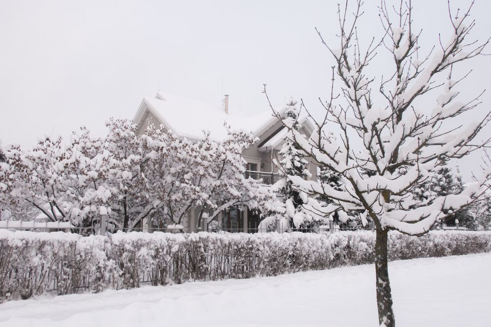 Photograph by Людмила Казак