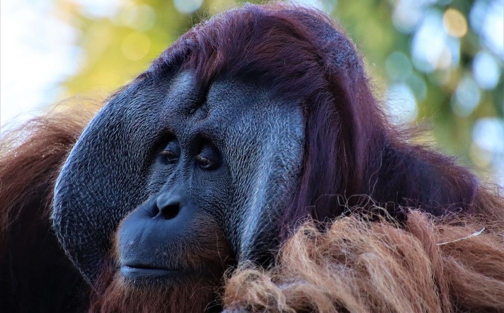 Photograph by Carol Taylor