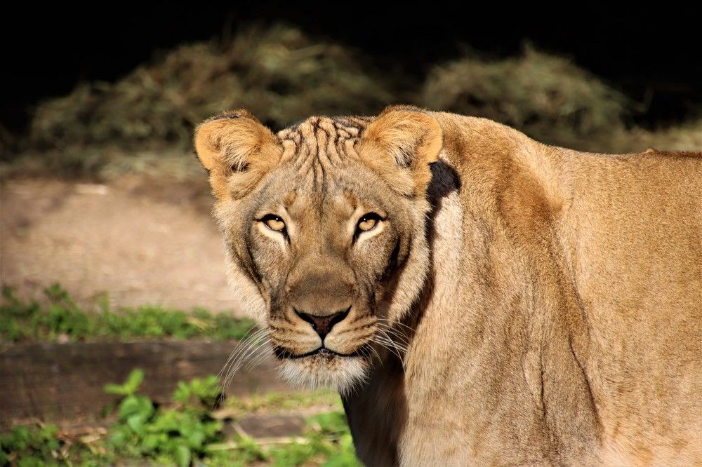 Photograph by Carol Taylor