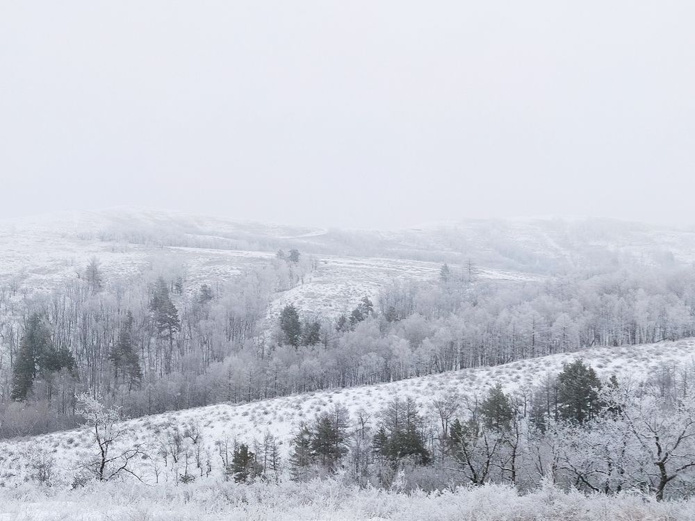 Photograph by Алсу Исмагилова