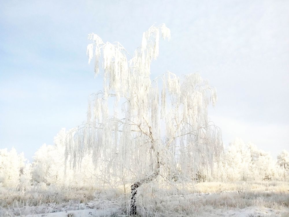 Photograph by Алсу Исмагилова
