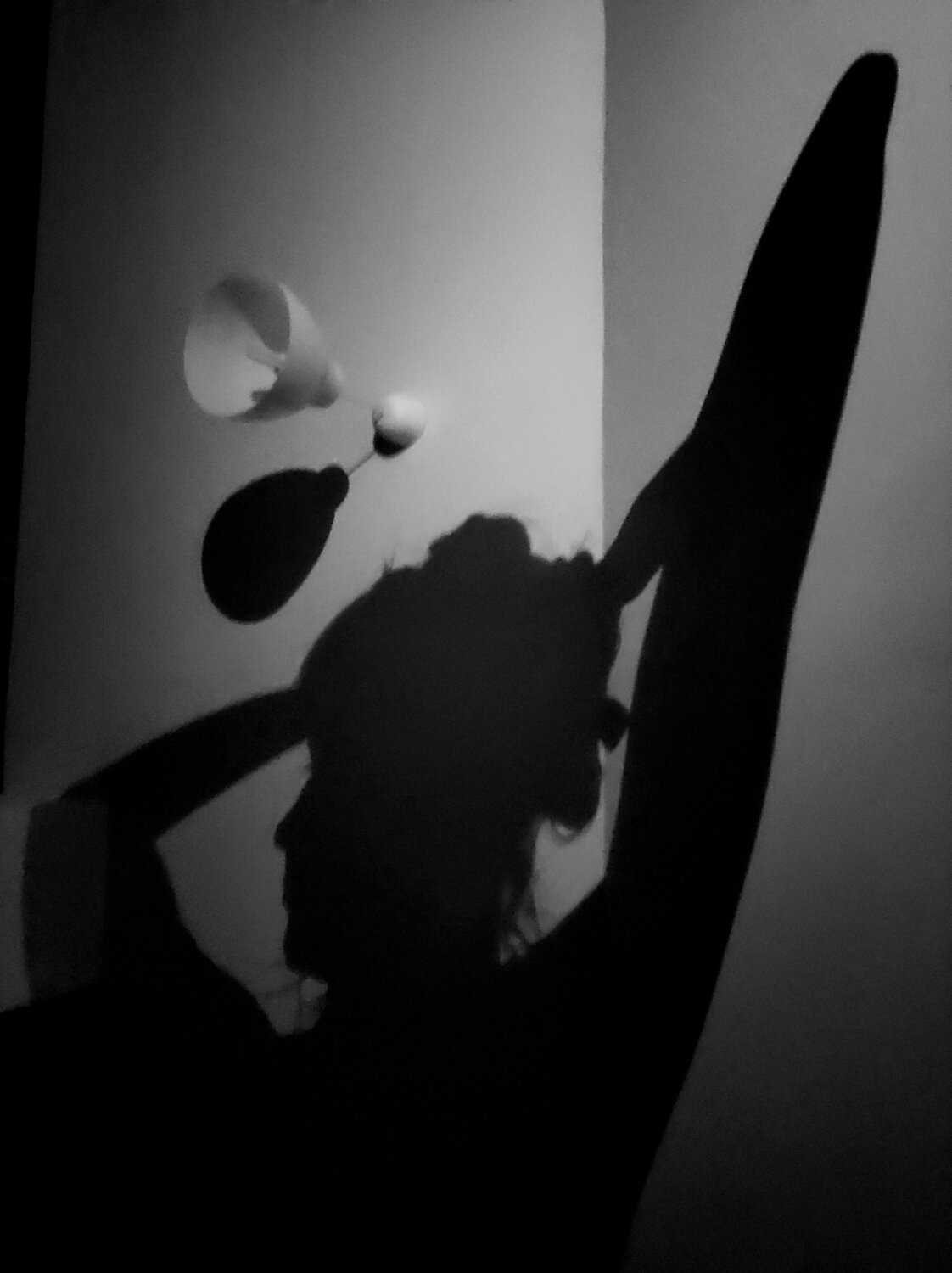 Photo #5936327