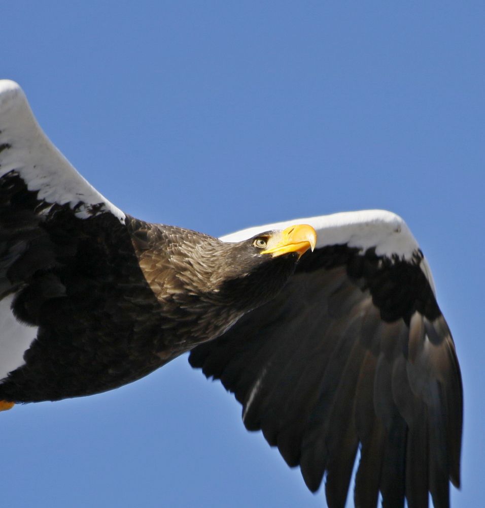 Photograph by Наталья Турчик