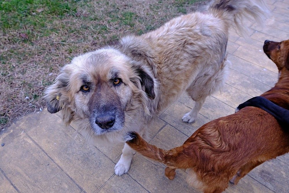 Переселение душ или кем я был в прошлой жизни?