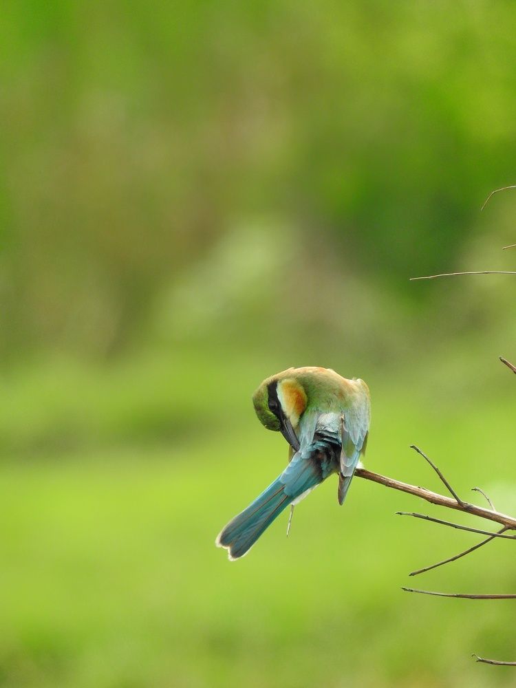 Photograph by Ines Wasi