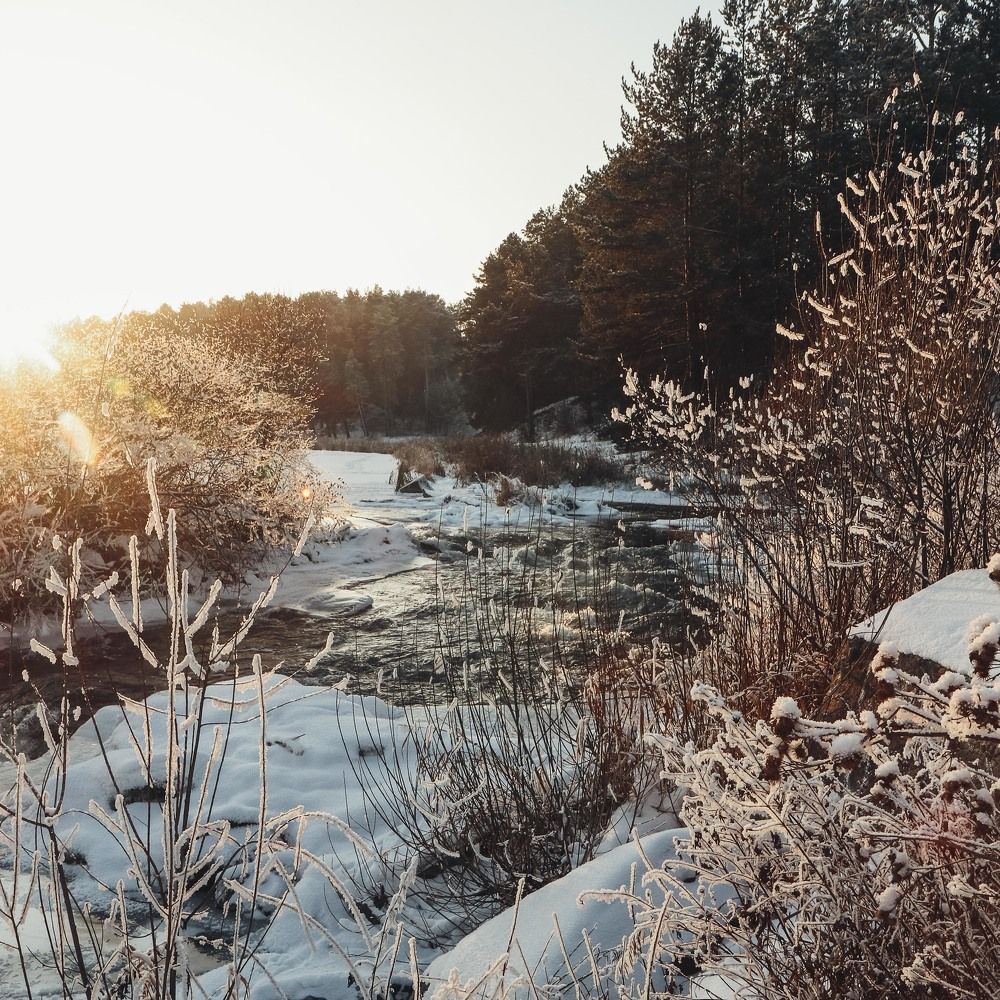 Фотография автора Вера Инюшкина