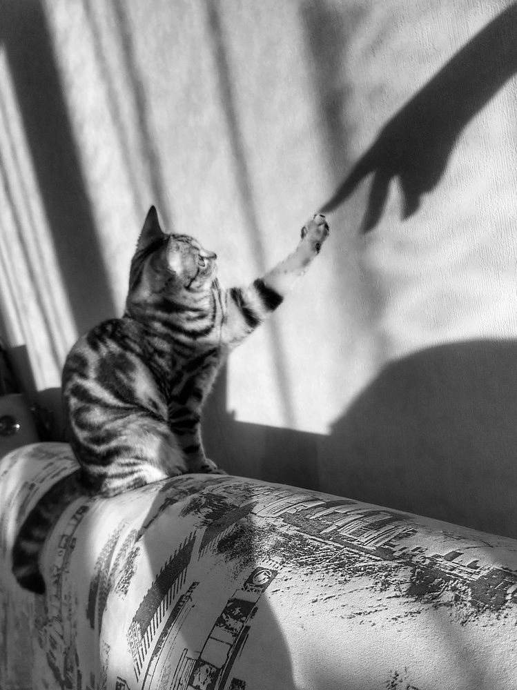 Photograph by Анастасия Власова