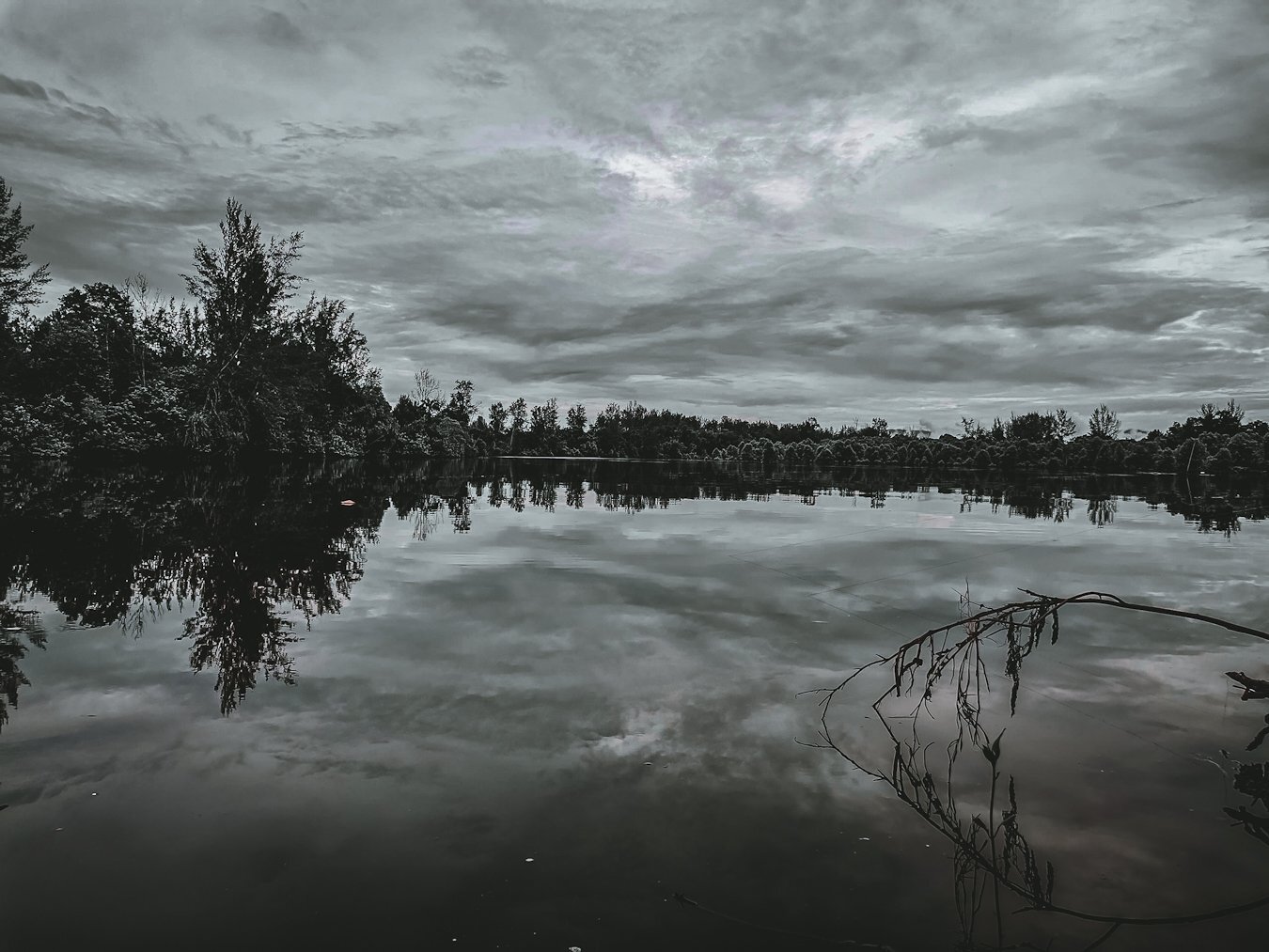 Photo #5936463
