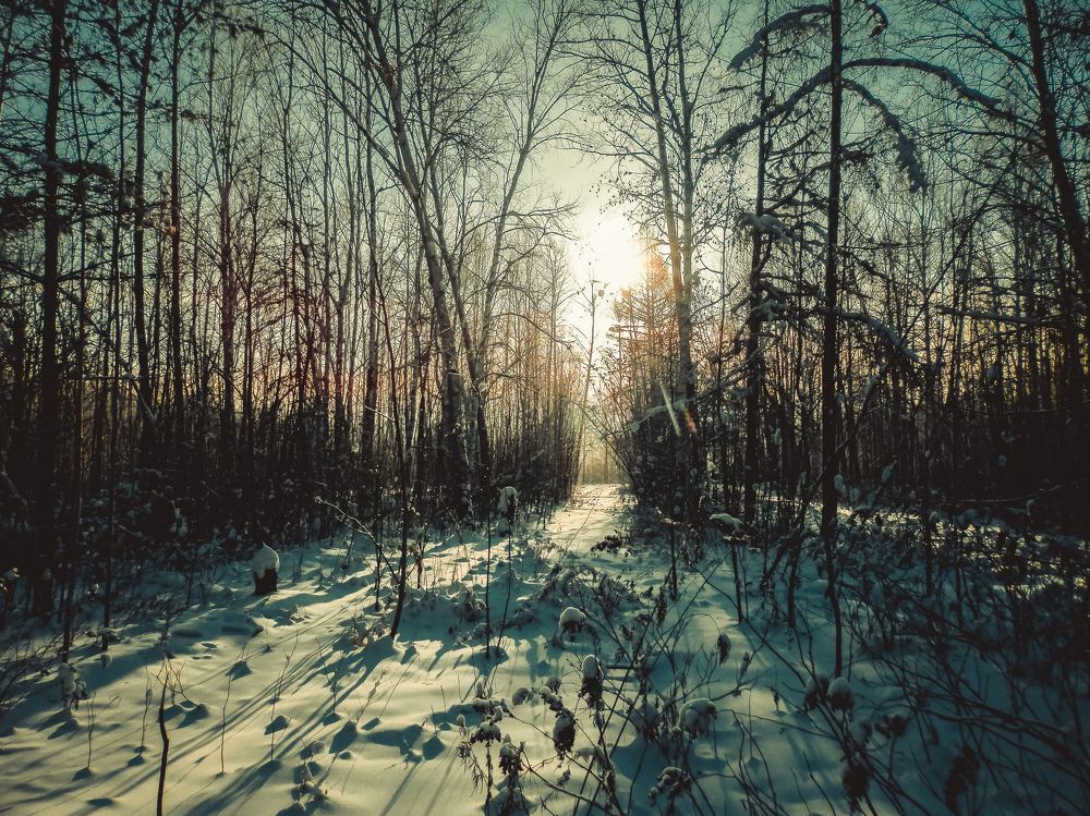 Photograph by Виктор Сёмушкин