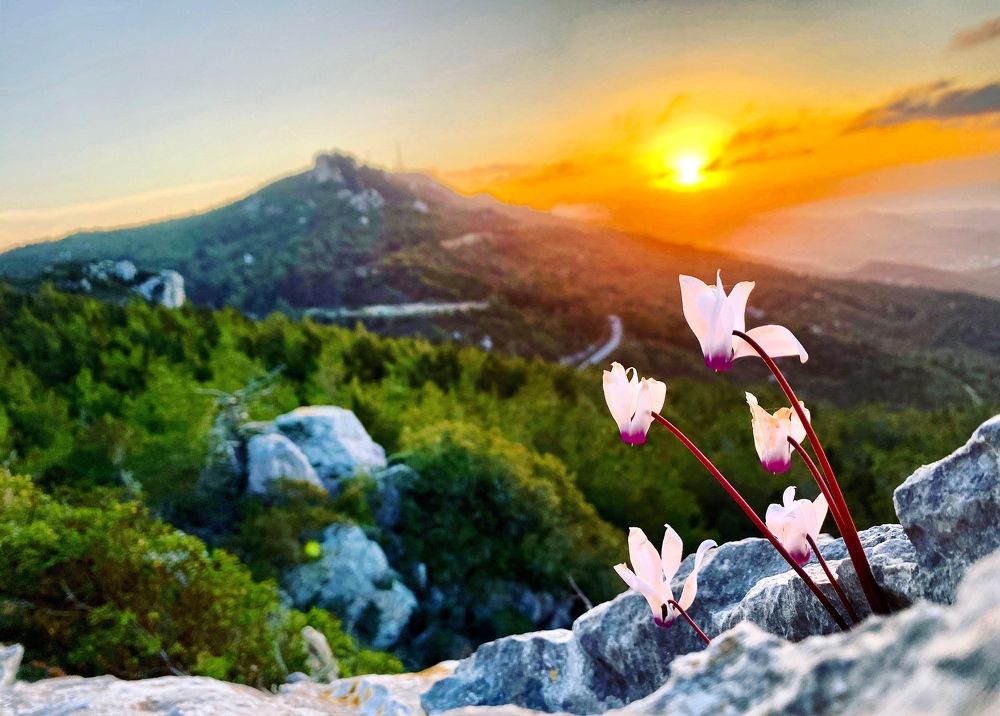 Photograph by Alp Ozmusaoglu