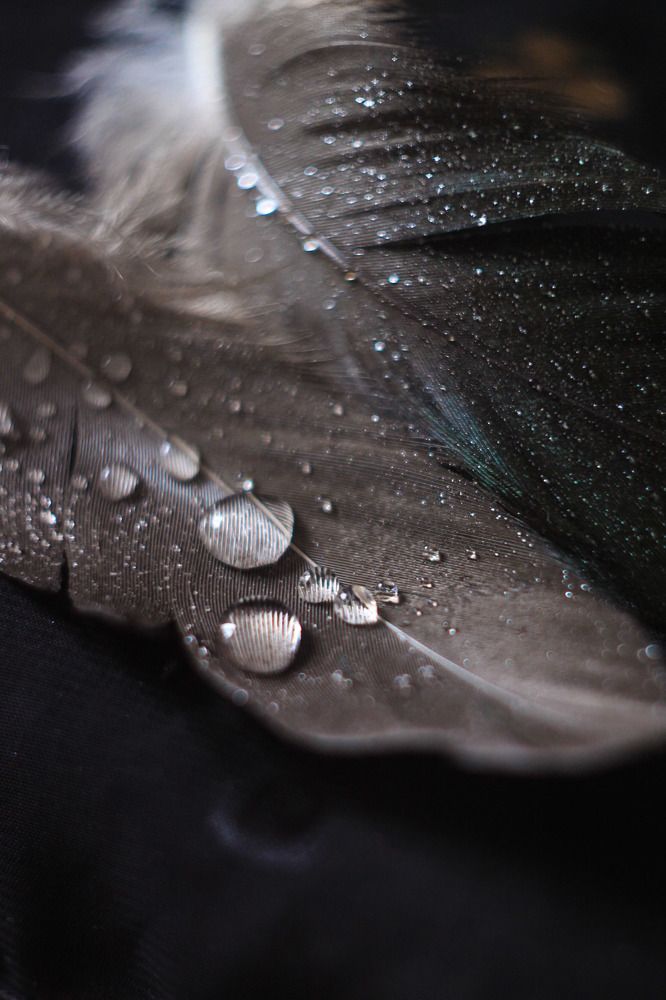 Photograph by Жанна Цветкова