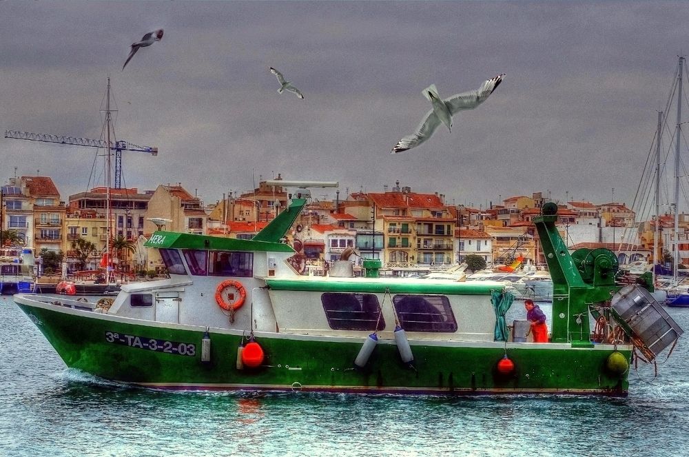 BARCA ENTRANT AL PORT