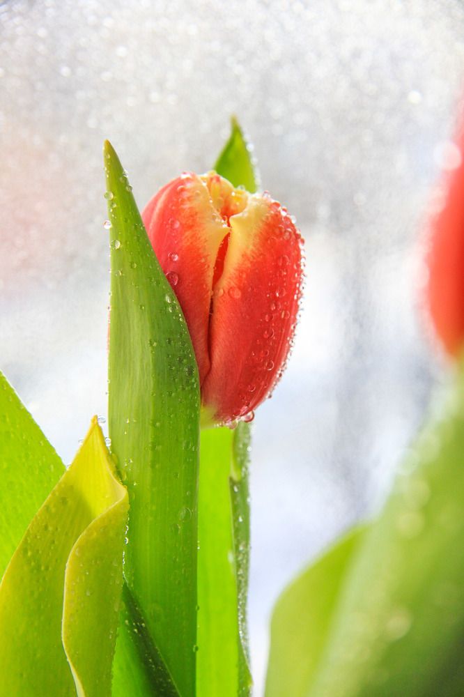 Photograph by Жанна Цветкова