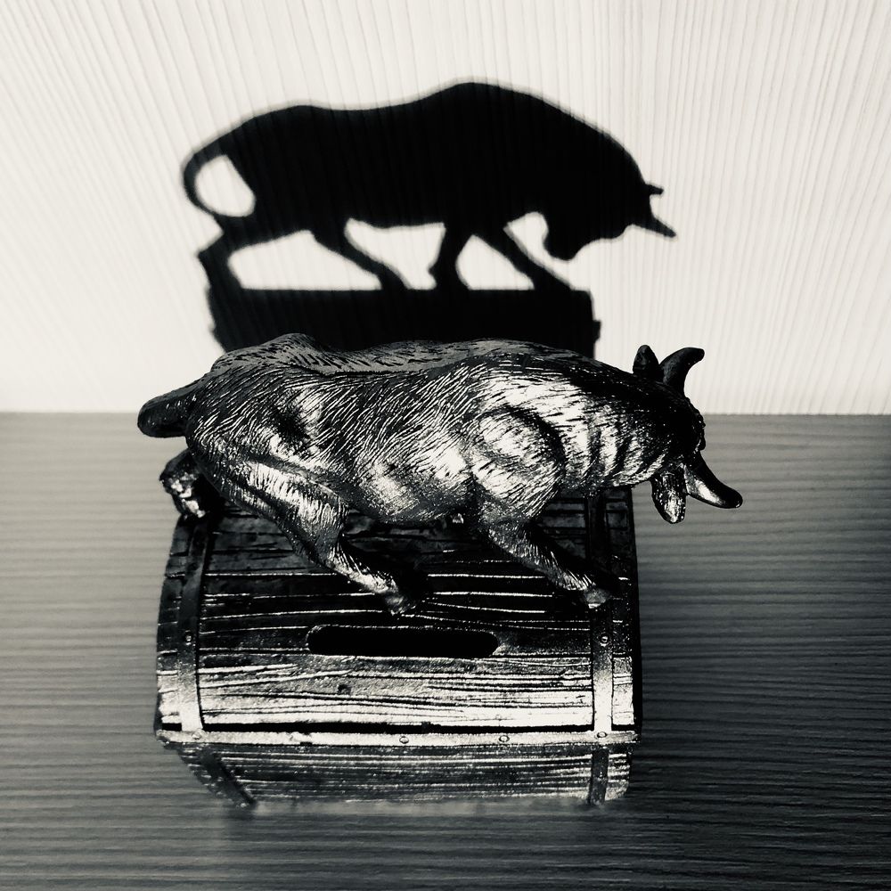 Бой с тенью