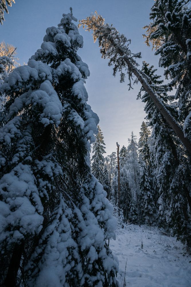 Photograph by Илькин Салимов