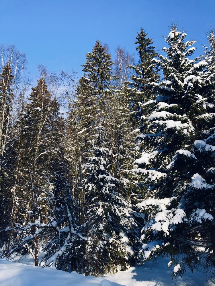 Photograph by Юлия Отставнова