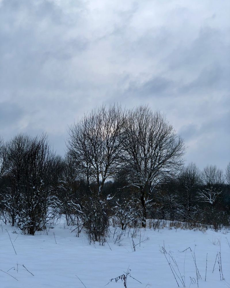 Photograph by Юлия Отставнова