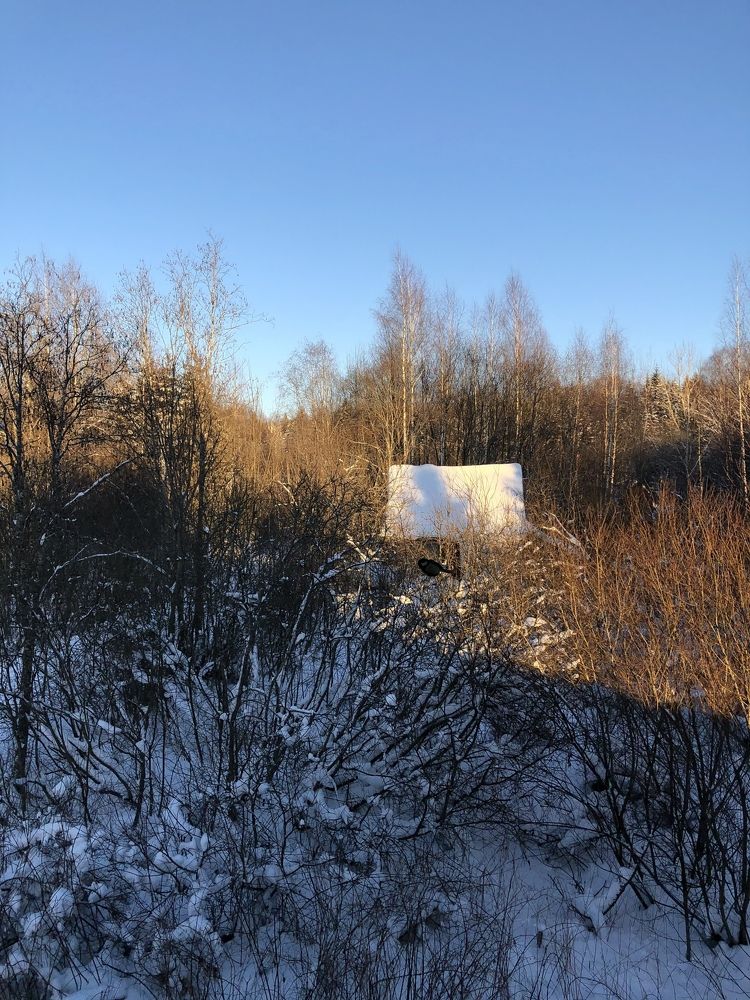 Photograph by Юлия Отставнова