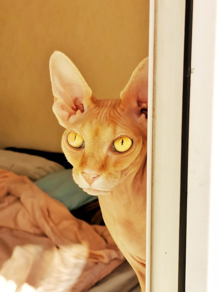 Photograph by Николай