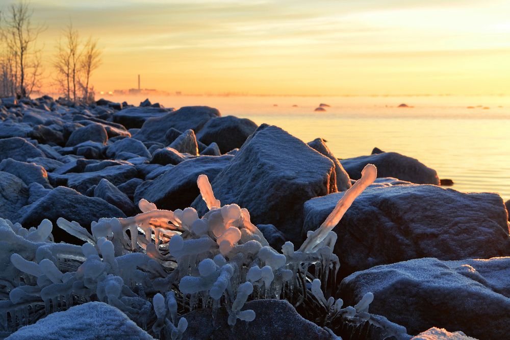 Photograph by Николай Кувшинов