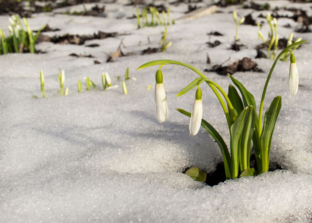 Photograph by Elena Lopatina