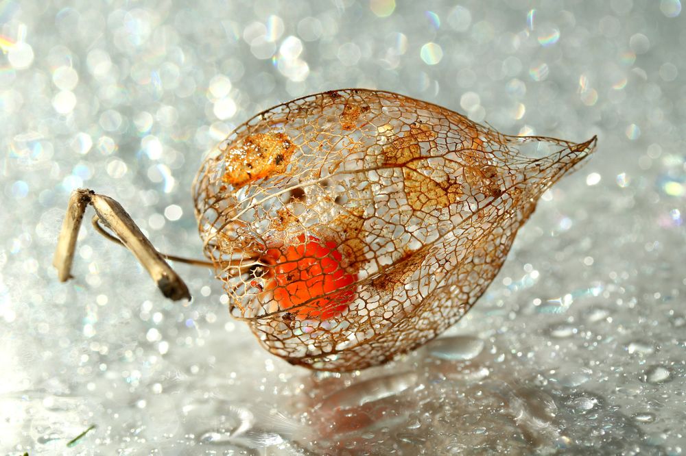 Photograph by Шруб (Беляева) Татьяна