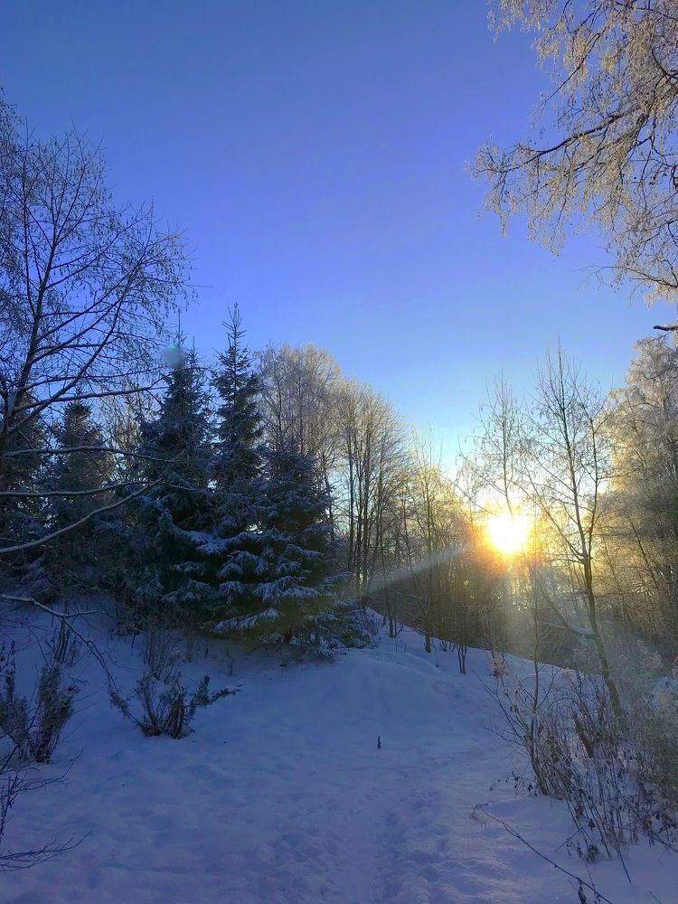 Photograph by Елена Смирнова