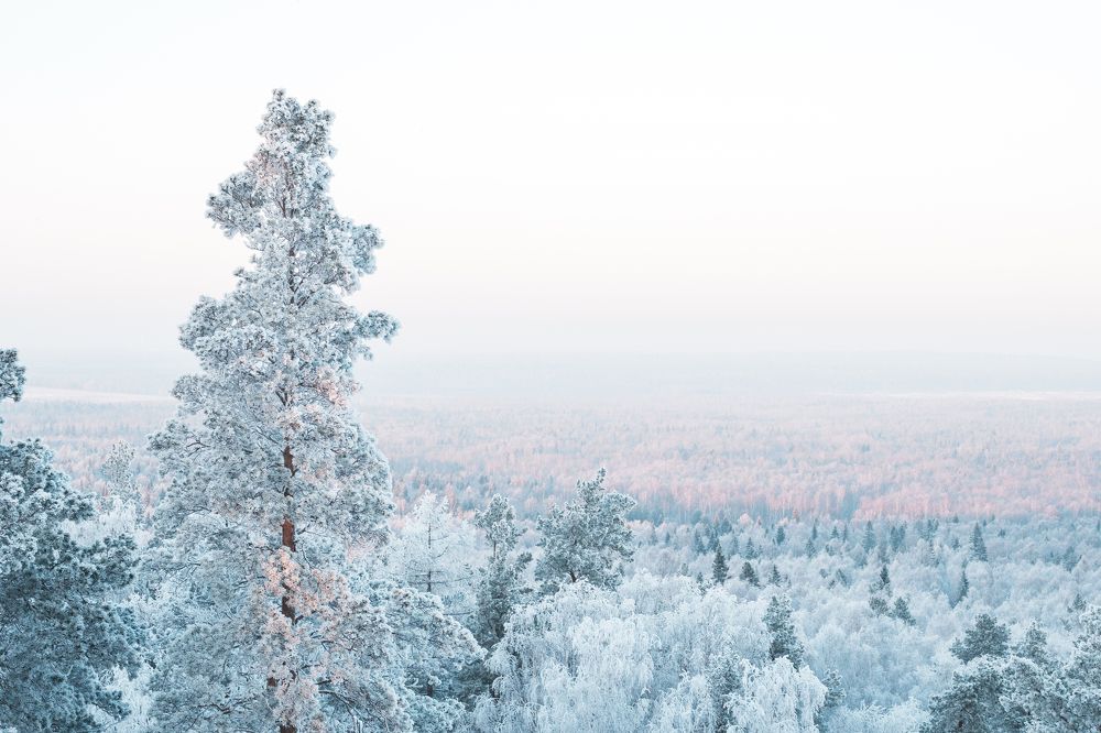 Photograph by Александр Нестеров