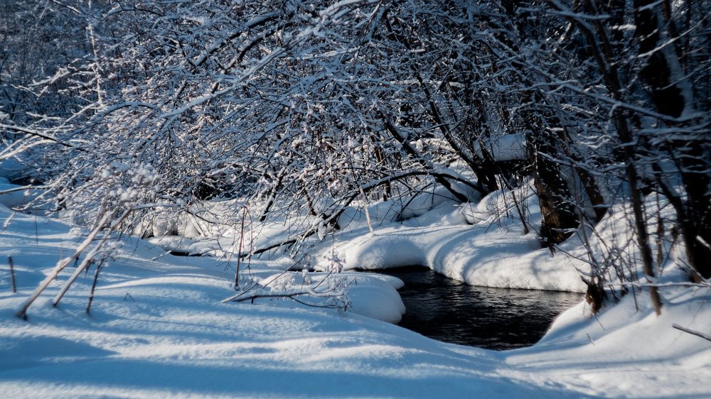 Photograph by Александр Нестеров