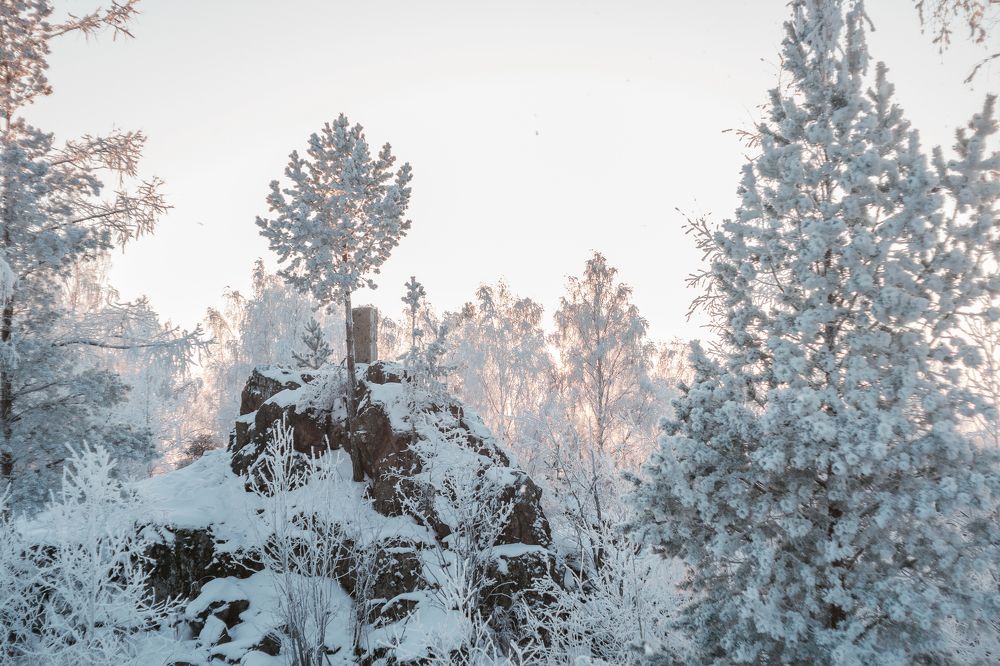 Photograph by Александр Нестеров