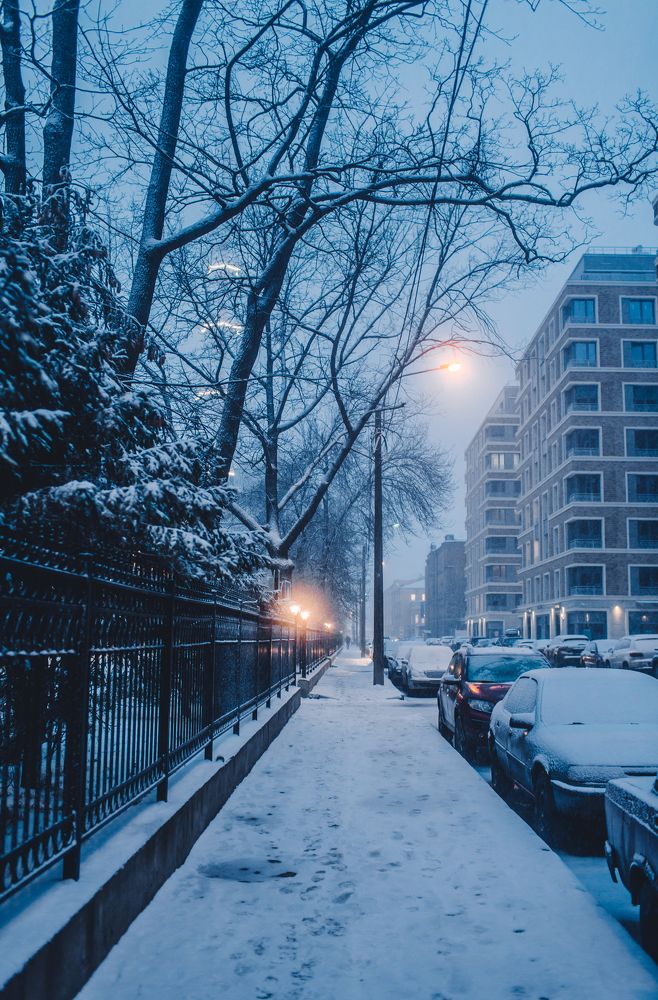 Photograph by Анастасия Курская