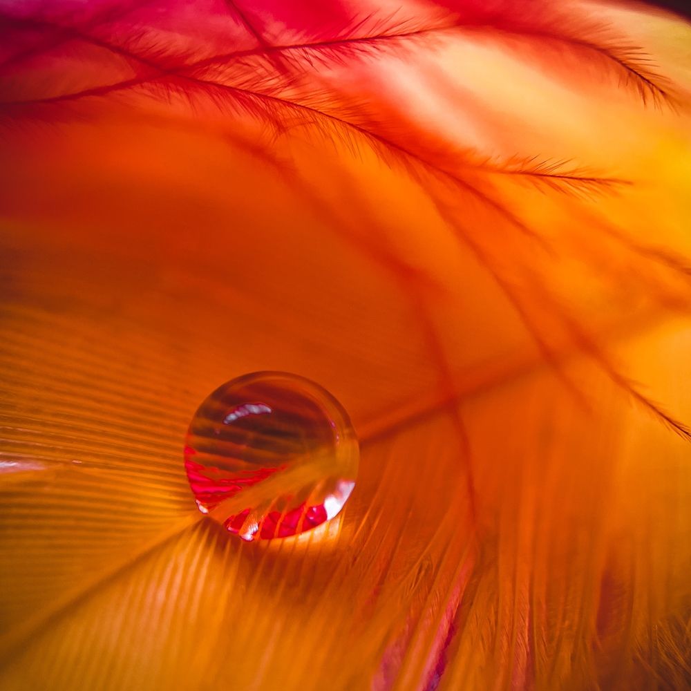 Photograph by Анастасия Арбузова