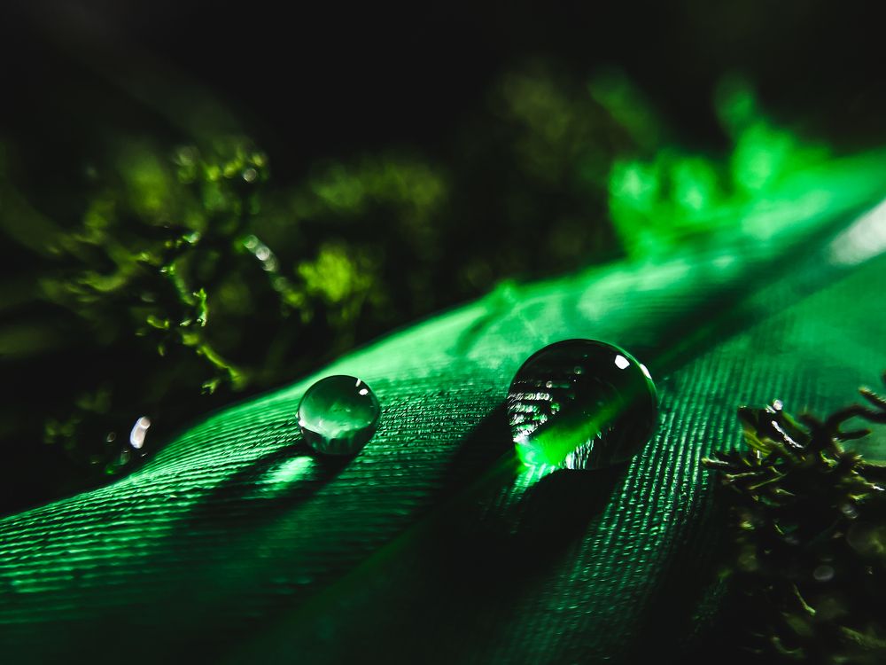 Photograph by Анастасия Арбузова