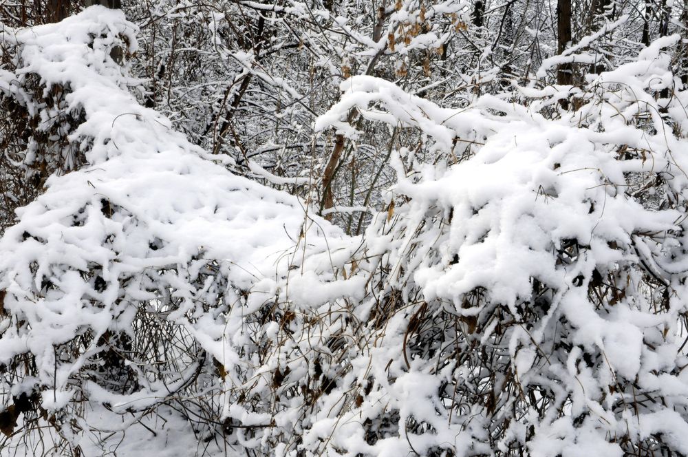 Photograph by иван антоненко