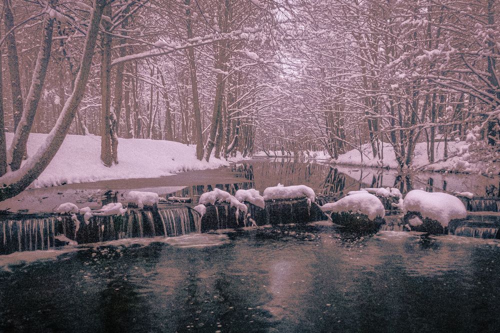 Photograph by Людмила Казак