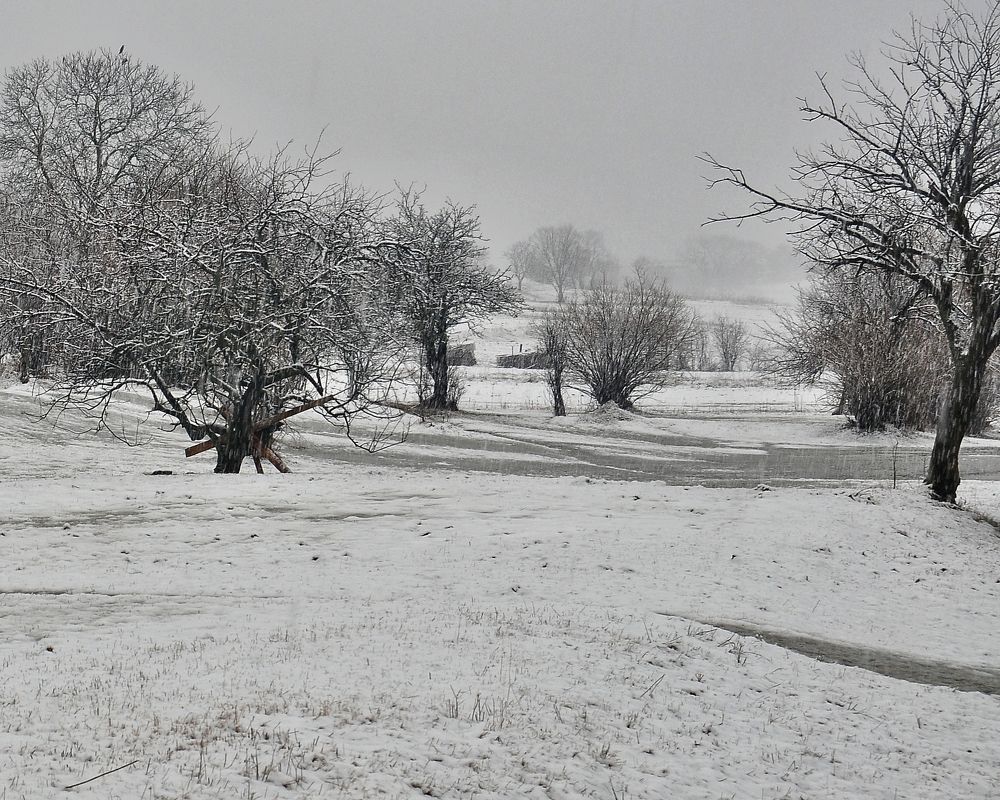 снег с дождём