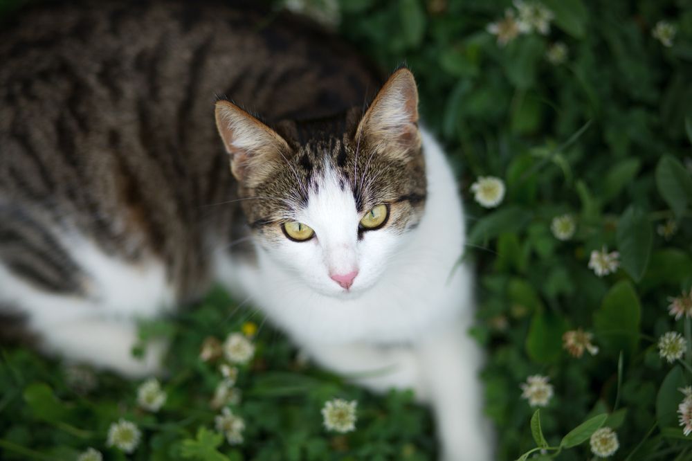 Photograph by Полина Парамонова