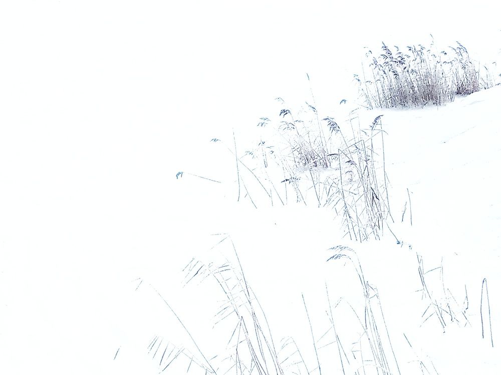 Photograph by Павел Антохин