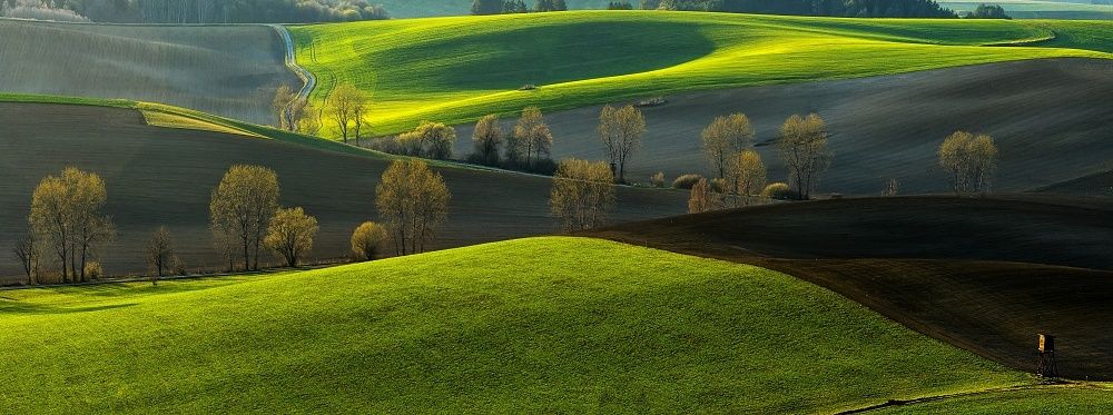 Photograph by Radim Ziman