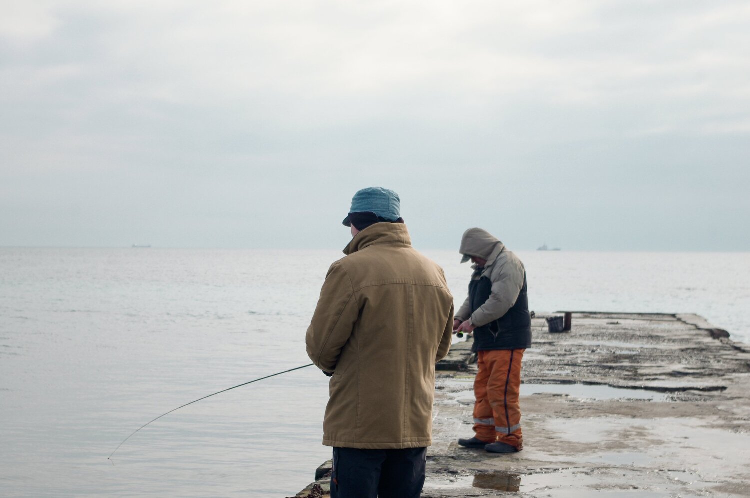 Photo #5937341