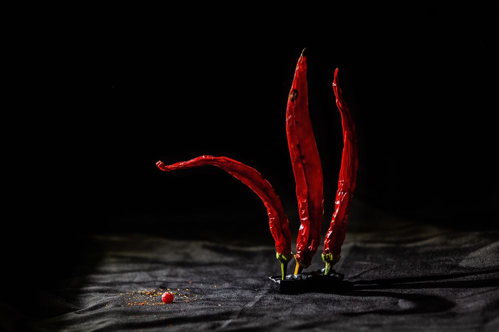 Photograph by Ирина Платонова