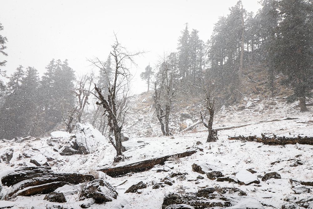 Photograph by Aritra Nath