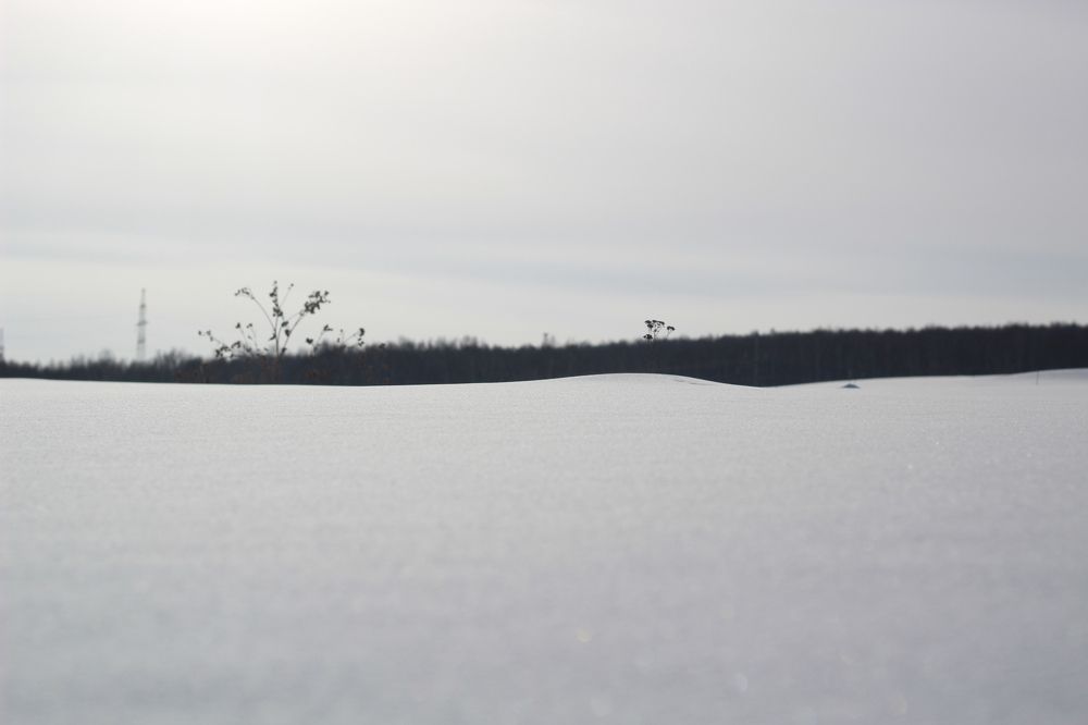 Photograph by Евгения Даниленко