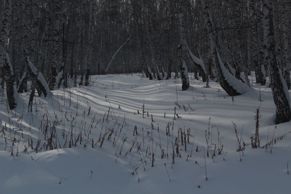 Photograph by Евгения Даниленко