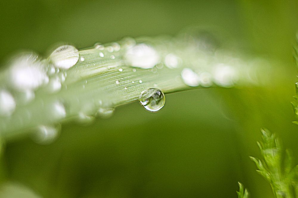 после дождичка в четверг