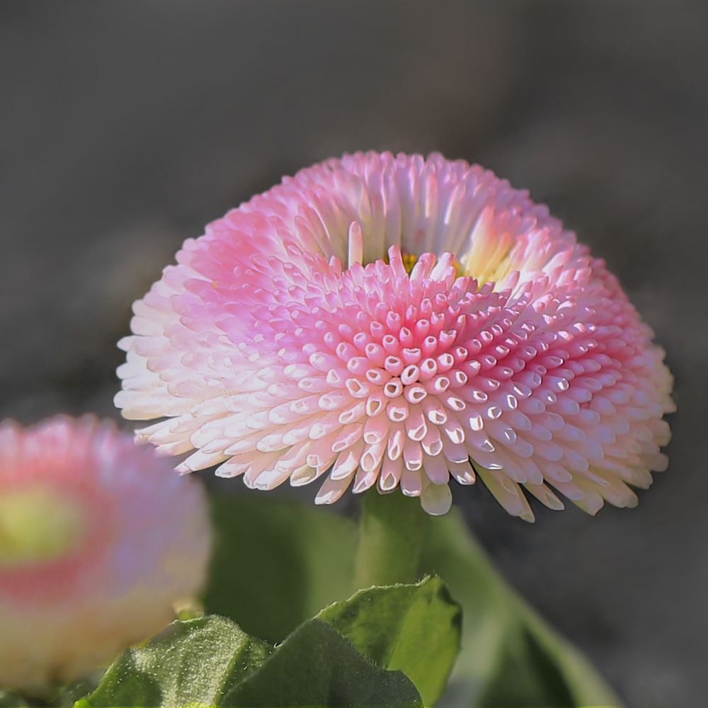 Photograph by Валерий Басыров